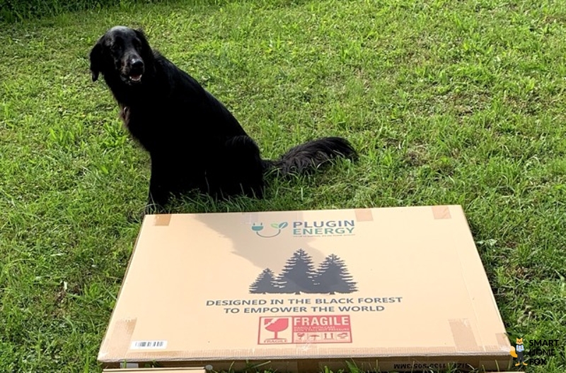 Versandkarton mit Plugin Energy Logo, darüber ein Hund